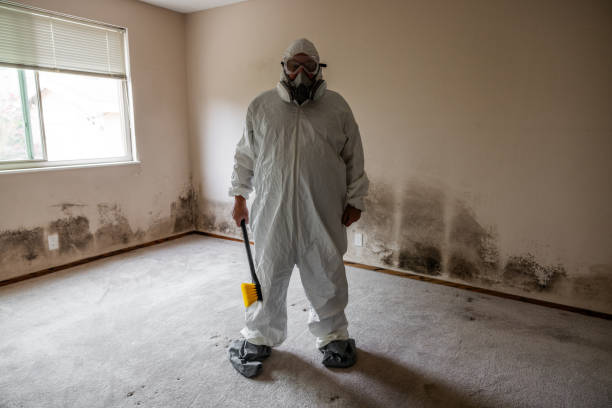Best Mold Remediation for Specific Building Types in Minneapolis, MN